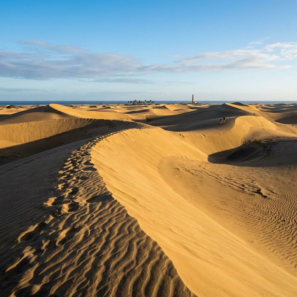 Campo de Dunas