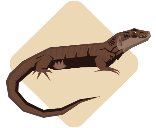 Lagarto gigante de Gran Canaria